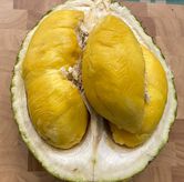 Foto di Queen Malaka Durian