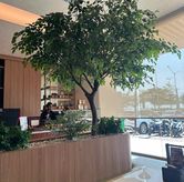 Foto di 70 Fahrenheit Koffie