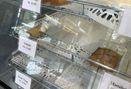 Foto Makanan di Kenari Cakery