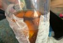 Foto Makanan di Kopi Nako Daur Baur