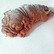 Foto Dog Mousse di Look Tea
