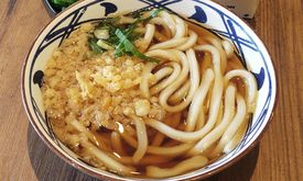 Marugame Udon