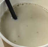 Foto di Grandma Soya Milk