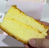 Foto di Momoiro