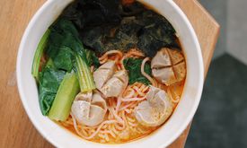 Noodle Inc
