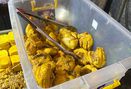 Foto Makanan di Ayam Gepuk Kedoya