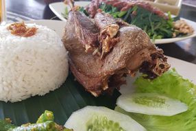 Foto Bebek Tepi Sawah