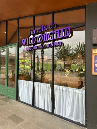 Foto review Wild Orchid oleh Albert Murdiono 11