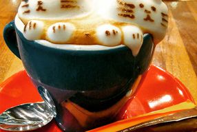 Foto Mokka Coffee Cabana