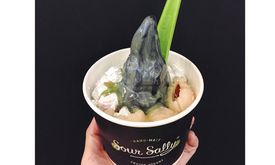 Sour Sally
