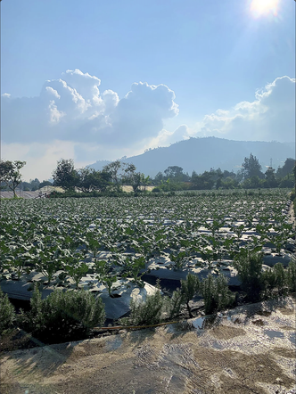 Foto Eksterior di Dari Kebun by IPFarm