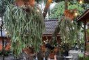 Foto Makanan di Rummi Kopi Lan Tresna