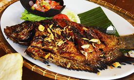 Kampung Daun