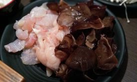 Shabu Yoi