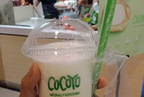Foto Cocoyo