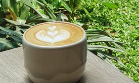 Cecemuwe Cafe and Space