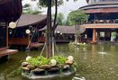 Foto Makanan di Amanaia