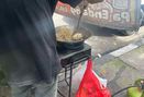 Foto Interior di Lumpiah Basah BPK 5