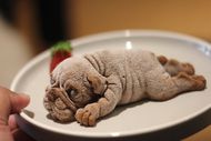 Foto Puggy Choco Mousse di Boogie Doggie Pet Cafe