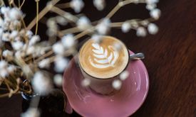 Dancing Goat Coffee Co.