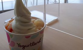 Yogurtland