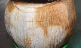 Kedai Kelapa Bakar Rempah Tumenggung Aryo