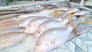 Foto 1 - Makanan di Bandar Djakarta oleh Dani Guntoro