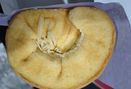 Foto Makanan di Loti Loti Bakery