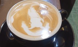 Kopi Praktik