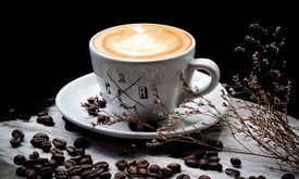 Crematology Coffee Roasters
