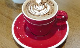 Platon Coffee