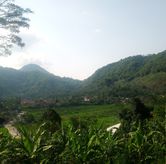 Foto di De Diamond Ecopark