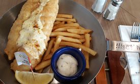Fish & Co.