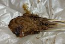 Foto Makanan di Sate Clarissa