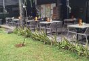 Foto Makanan di Indotofu Haus