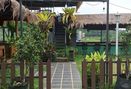 Foto Makanan di Saung Sabin