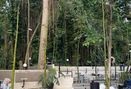 Foto Interior di Kopi Nako