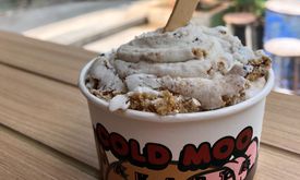 Cold Moo