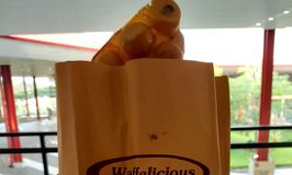 Waffelicious
