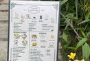 Foto Menu di Siansing Kopitiam