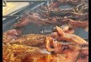 Foto Makanan di Bipang Ambawang
