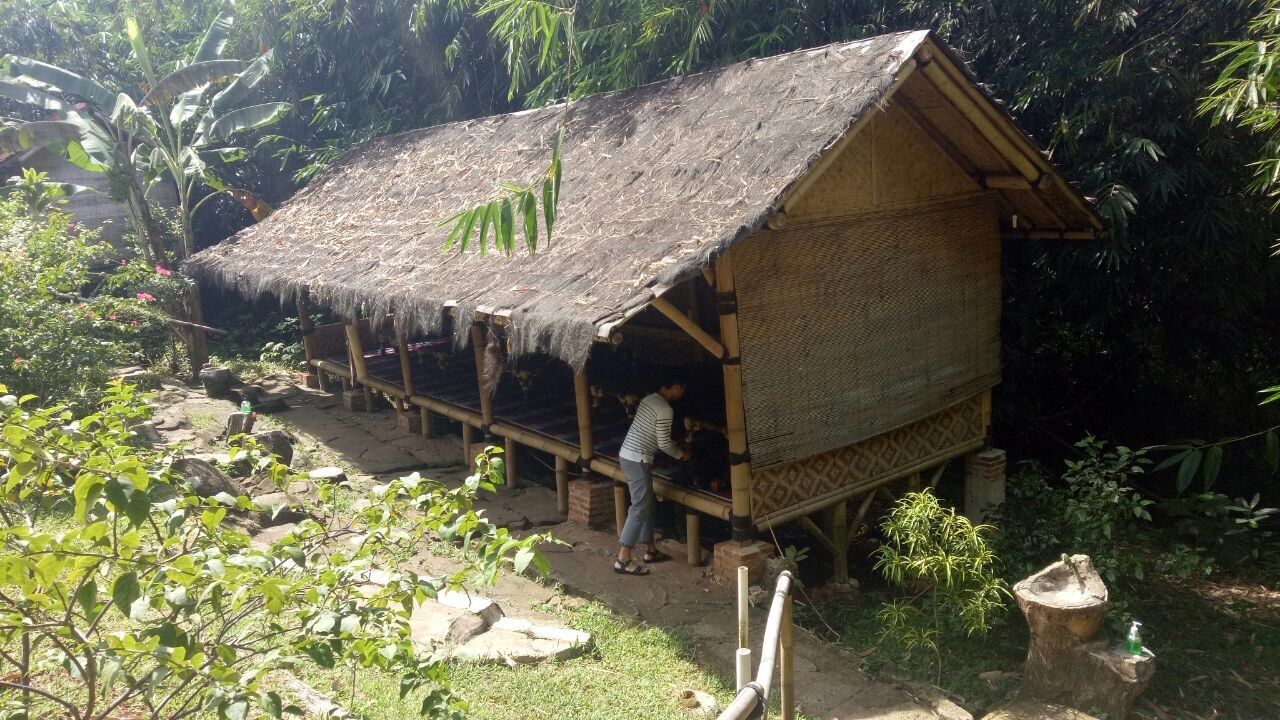 Goeboek Bamboe Depok Ii Tengah Depok Lengkap Menu Terbaru Jam Buka No Telepon Alamat Dengan Peta