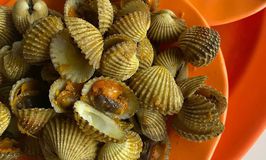 Seafood Laris Manis Irigasi