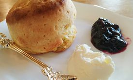 Maza Artisan Tea & Gelato