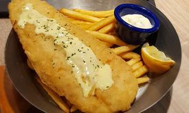 Fish & Co.