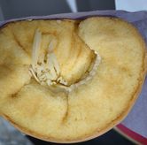 Foto di Loti Loti Bakery