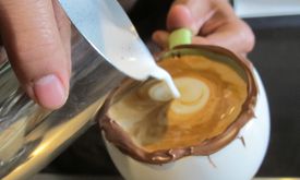 Gayo Kopi Lounge