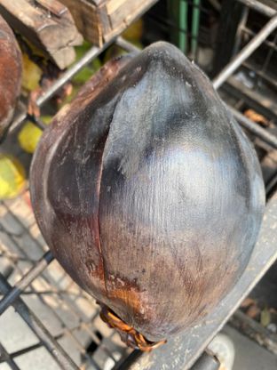 Foto 2 - Makanan di Kedai Kelapa Bakar Rempah Tumenggung Aryo oleh Nikita Marcia