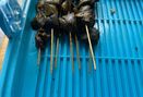 Foto Makanan di Bubur Ayam Tatang