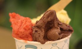 Gaya Gelato